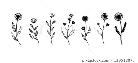 Curved Bloom and Leaf Sketch. A simple hand-drawn flower with curved petals and a single leaf. Curved Bloom and Leaf Sketch. A simple hand-drawn flower with curved petals and a single leaf. 129518073