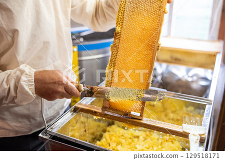 Beekeeper opening honey frame with electric knife, uncapping while harvest. Professional table for uncapping honey frames, extractor on the background 129518171