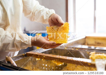 Beekeeper with honey combs full of fresh tasty honey. Profesional beekeeper harvesting honey in summer, holding honeycomb 129518180