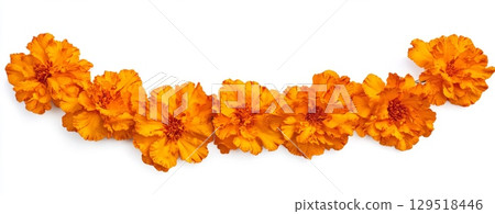 Orange marigold cempasuchil flower garland isolated on white 129518446