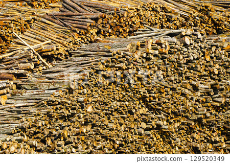 Large Stack of Cut Firewood Logs in Pile Showing Cross-Sections of Natural Timber and Branches Large Stack of Cut Firewood Logs in Pile Showing Cross-Sections of Natural Timber and Branches 129520349