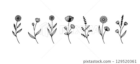 Vintage Meadow Flower Collection. A refined set of tall, slender floral illustrations with varied blossoms, elegant stems, and leafy accents. Vintage Meadow Flower Collection. A refined set of tall, slender floral illustrations with varied blossoms, elegant stems, and leafy accents. 129520361