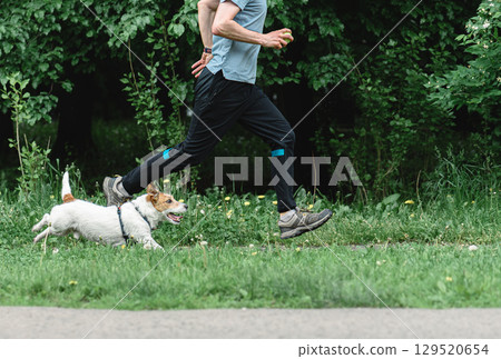 Athletic man jogging with Jack Russell Terrier dog in park - active pet owner lifestyle 129520654