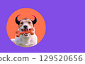 Halloween dog portrait with devil horns and toy bone against bright solid color background 129520656