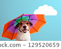 Happy Dog with Colorful Umbrella Hat - Autumn Weather Concept 129520659