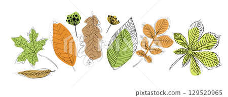 set of autumn leaves. hand drawn. Not AI, Vector illustration set of autumn leaves. hand drawn. Not AI, Vector illustration 129520965