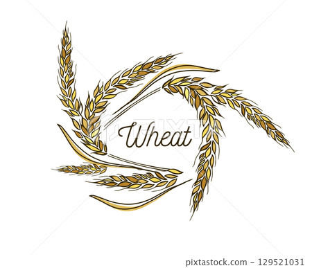 Wheat frame abstraction. hand drawn. Not AI, Vector illustration 129521031