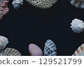 Shell-decorated title page 2 129521799