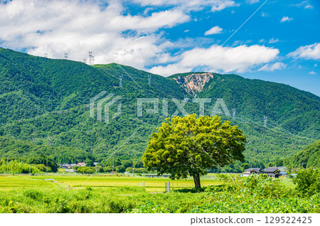 Makino Rural Landscape, Takashima City, Shiga Prefecture 129522425