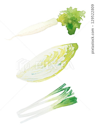 三種冬季蔬菜的水彩插圖集 | 蘿蔔,大白菜和蔥,透明水彩,白色背景 三種冬季蔬菜的水彩插圖集 | 蘿蔔,大白菜和蔥,透明水彩,白色背景 129522809