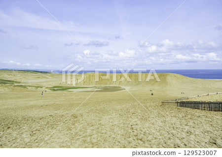 鳥取縣鳥取市鳥取市沙丘馬背沙丘 129523007