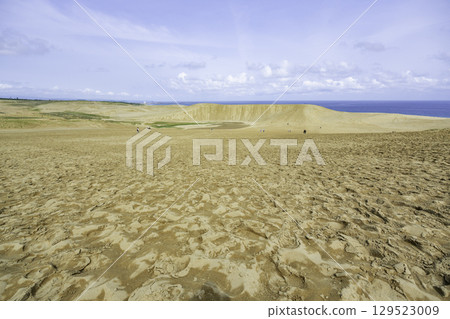 Tottori Sand Dunes Horse Back Dune Tottori City, Tottori Prefecture 129523009