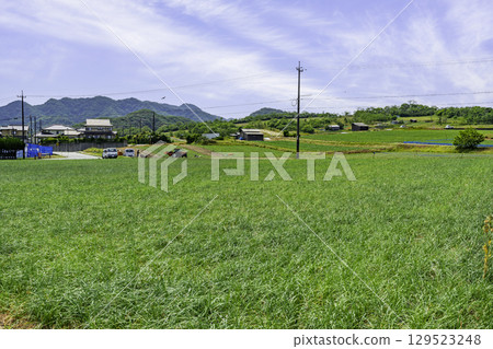 鳥取縣鳥取市落徑原野鳥取沙丘 129523248