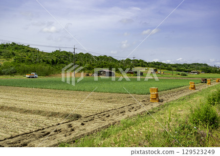 Tottori Sand Dunes, Rakkyo Field, Tottori City, Tottori Prefecture 129523249