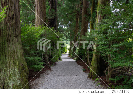 Approach to Takamahiko Shrine (Gose City, Nara Prefecture) 129523302