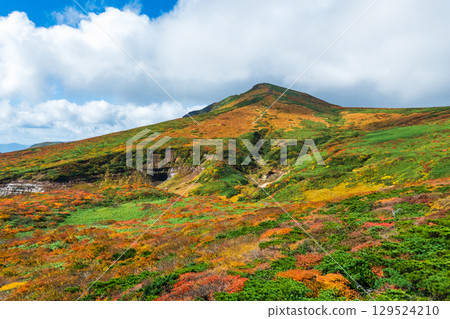 Climbing Mount Kurikoma in autumn (view of Mount Kurikoma from Mount Higashi-Kurikoma) Climbing Mount Kurikoma in autumn (view of Mount Kurikoma from Mount Higashi-Kurikoma) 129524210