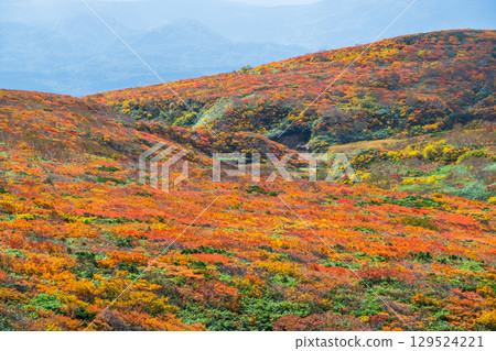 Autumn leaves of Mt. Kurikoma 129524221