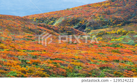 Mt. Kurikoma秋葉 129524222