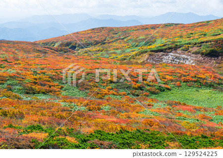 Mt. Kurikoma秋葉 Mt. Kurikoma秋葉 129524225