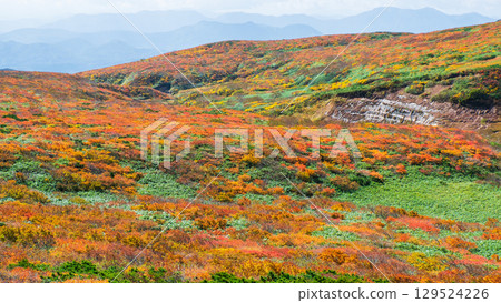 Autumn leaves of Mt. Kurikoma 129524226