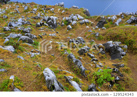 沖繩縣的邊戶岬高原、岩石、草地、大海和珊瑚 沖繩縣的邊戶岬高原、岩石、草地、大海和珊瑚 129524343