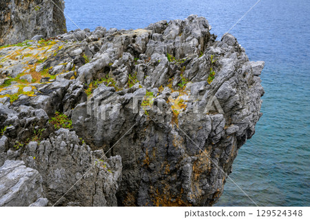 Cape Hedo plateau, rocks, grass, sea, and coral in Okinawa Prefecture 129524348