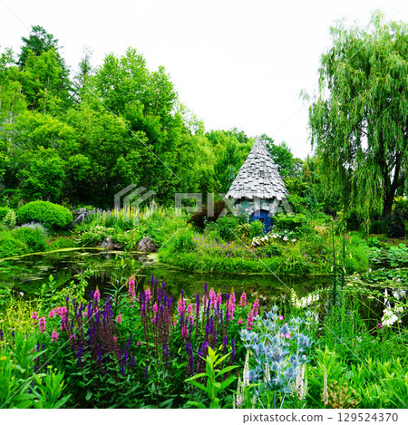 Ueno Farm, Hokkaido 129524370