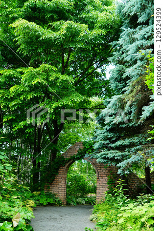 北海道上野農場 129524399