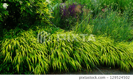 Ueno Farm, Hokkaido 129524502