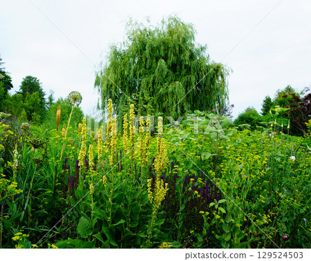 北海道上野農場 北海道上野農場 129524503