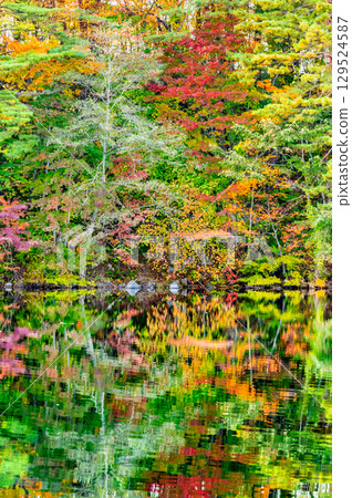 Fukushima, Urabandai: Lake Goshikinuma and Lake Yanaginuma dyed in autumn leaves Fukushima, Urabandai: Lake Goshikinuma and Lake Yanaginuma dyed in autumn leaves 129524587