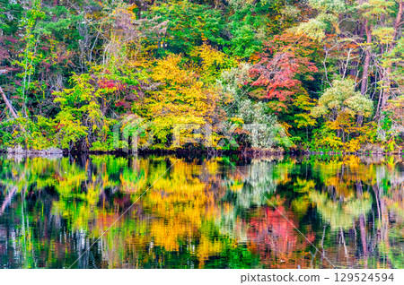 福島、裡磐梯：五色沼、柳沼湖染上紅葉 129524594