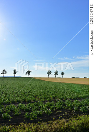 Hill of fairy tale 129524718