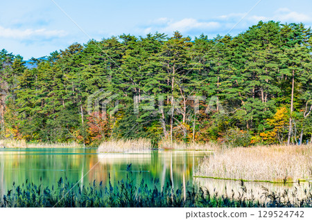Fukushima, Urabandai: Lake Goshikinuma and Bentennuma, dyed in autumn leaves Fukushima, Urabandai: Lake Goshikinuma and Bentennuma, dyed in autumn leaves 129524742