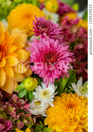 Autumn garden colorful flowers. Beautiful autumnal bouquet dahlia chrysanthemum. Red pink orange fall color fall floral background. Flower shop and florist design concept 129524815