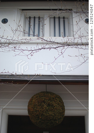 "Sugidama" on sake brewery / The entrance to a long-established sake brewery, with a cedar ball displayed on the eaves "Sugidama" on sake brewery / The entrance to a long-established sake brewery, with a cedar ball displayed on the eaves 129524847