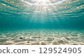 沐浴在陽光下的閃閃發光的海底世界 129524905