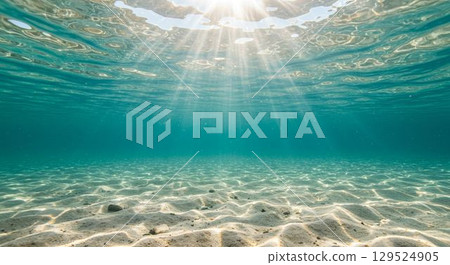 A sparkling underwater world bathed in sunlight A sparkling underwater world bathed in sunlight 129524905