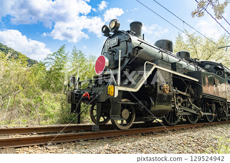 大井川鐵道蒸汽機車和靜岡縣家山的櫻花 129524942