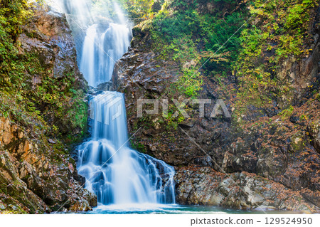 山形縣逆光閃耀的白布瀑布 129524950