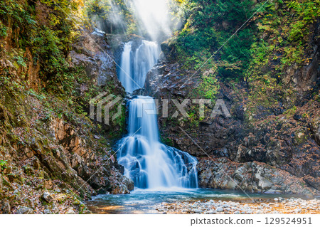 山形縣逆光閃耀的白布瀑布 129524951