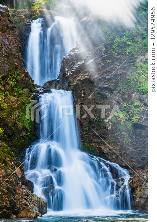 山形縣逆光閃耀的白布瀑布 山形縣逆光閃耀的白布瀑布 129524956