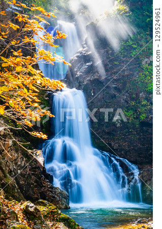 Shirabu Falls shining in the backlight in Yamagata Shirabu Falls shining in the backlight in Yamagata 129524961