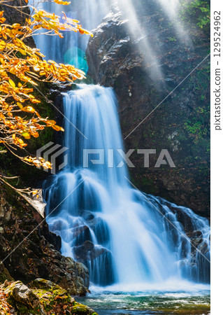 山形縣逆光閃耀的白布瀑布 129524962