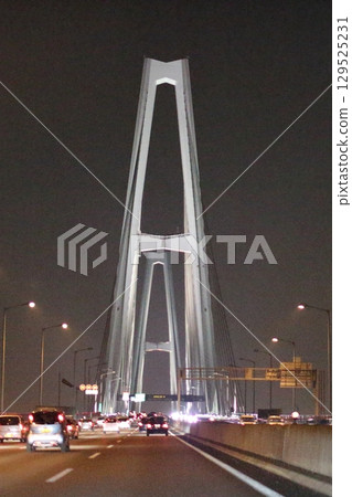 Night Cruise, Meiko Triton Bridge, and Meiko Chuo Bridge [Nagoya City, Aichi Prefecture] 129525231