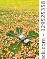 Happy humanoid robot lies on the autumn grass. 129525358