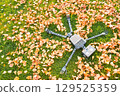 Happy humanoid robot lies on the autumn grass. 129525359