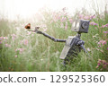 Humanoid robot sits in a meadow among wild flowers and admires a butterfly. Robotic object experiences feelings and emotions. Concept of technology development in the form of artificial intelligence. 129525360
