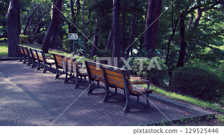 Park bench Park bench 129525446