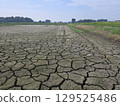 稻田缺水 129525486
